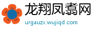 龙翔凤翥网